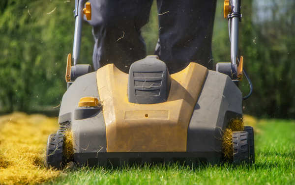 Albuquerque-Lawn-Aeration-R-and-S-Landscaping-505-271-8419-AA01