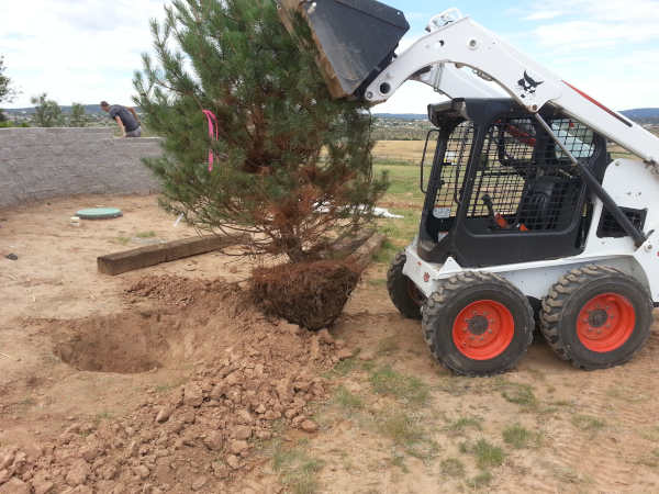 Bobcat Grading, Excavating and Debris Removal Services - R & S