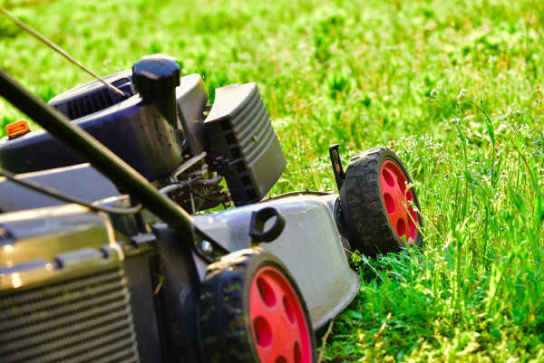 Albuquerque Lawn Mowing Tips - Part Two by R & S Landscaping 505-271-8419