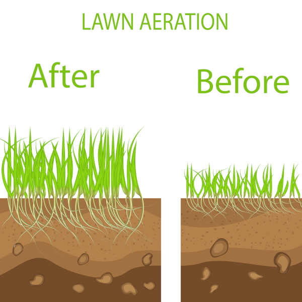 Lawn Aeration Albuquerque NM