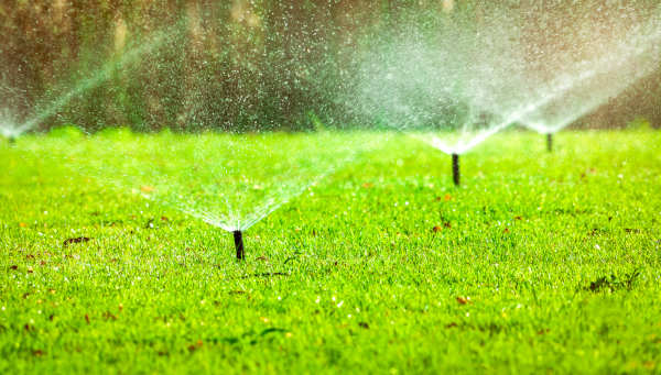 winterize albuquerque irrigation system - R and S Landscaping 505-271-8419