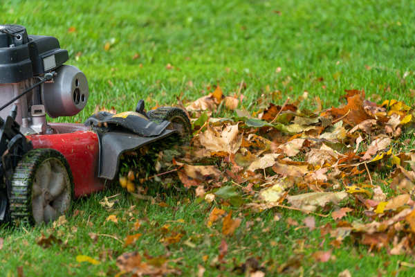 winterize your albuquerque garden - R & S Landscaping 505-271-8419