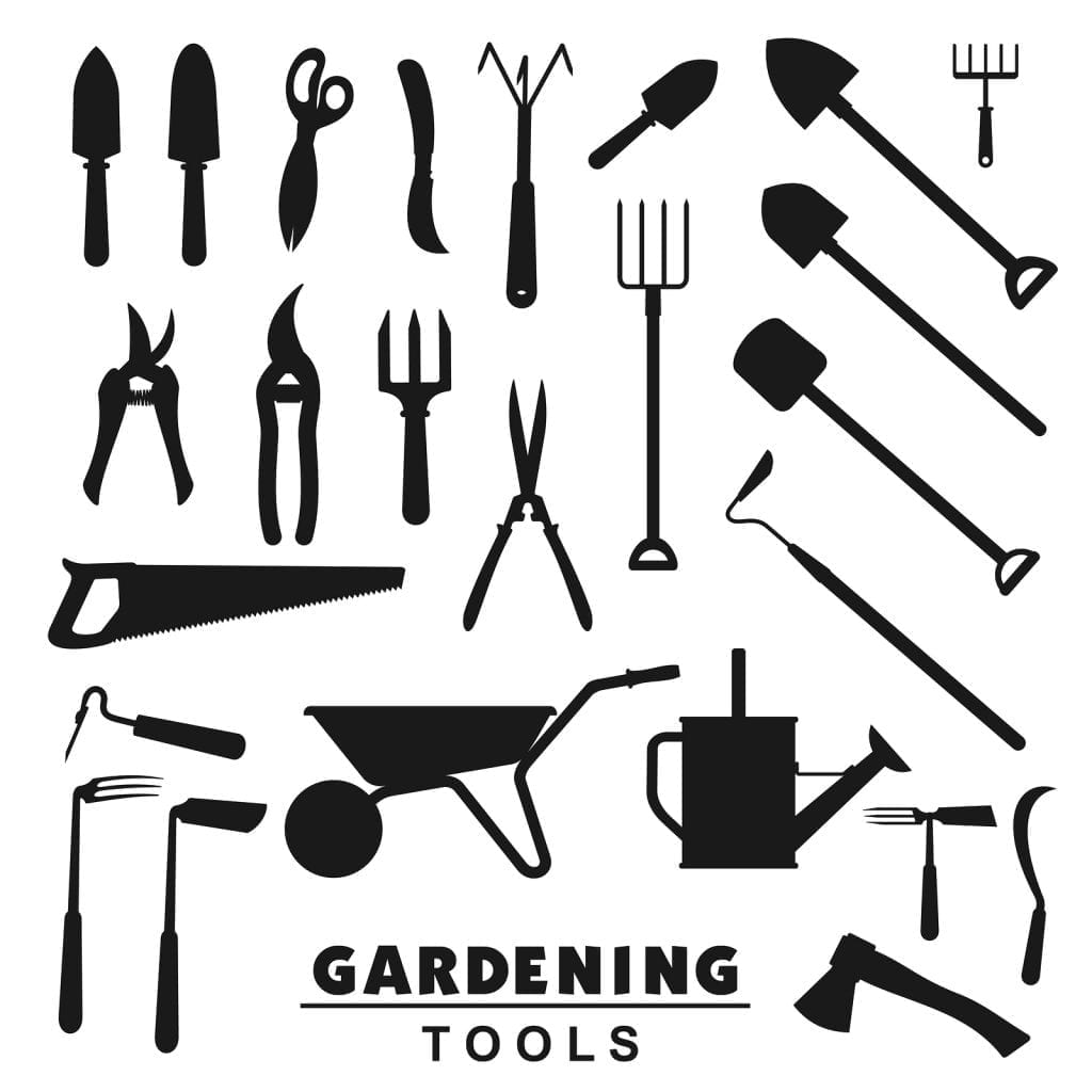 Best Tips on Gardening Tools and Supplies Every Albuquerque Gardener Should Buy by R & S Landscaping 505-271-8419