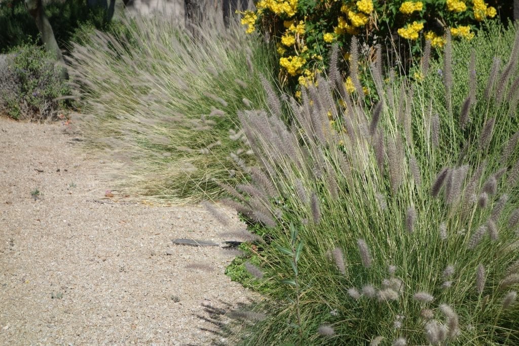 Albuquerque Xeriscaping - Save Money and Add Value to Your Albuquerque Home by R & S Landscaping - Part One b