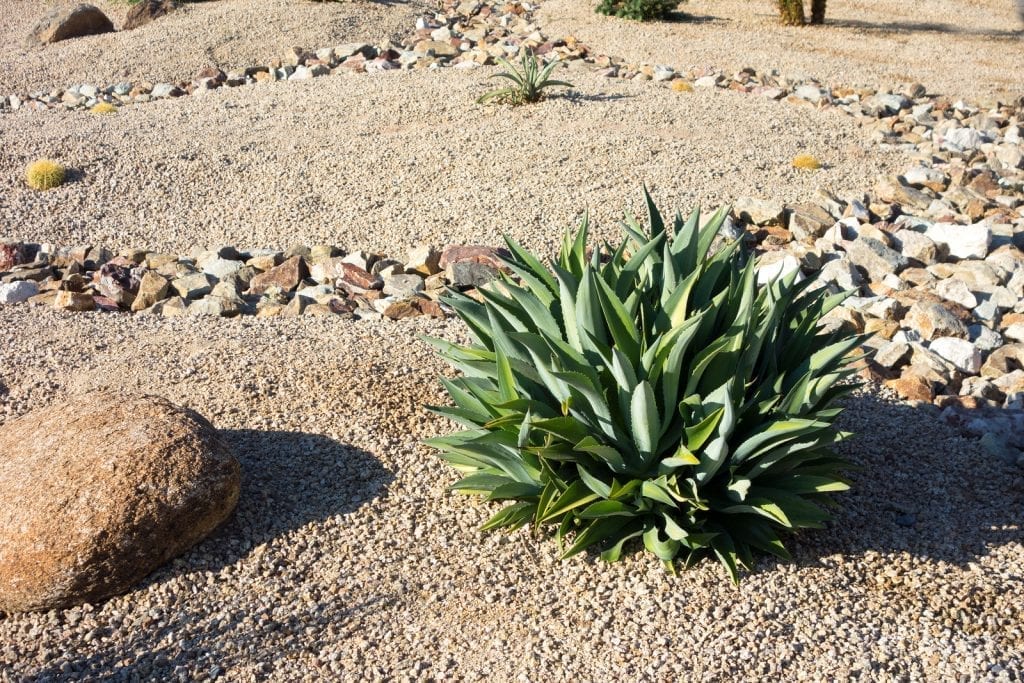 Why You Should Hire R & S Landscaping to do Your Albuquerque Xeriscape Landcaping b