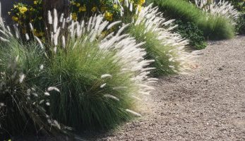 R S Landscaping Landscaping Albuquerque Beautiful One Property