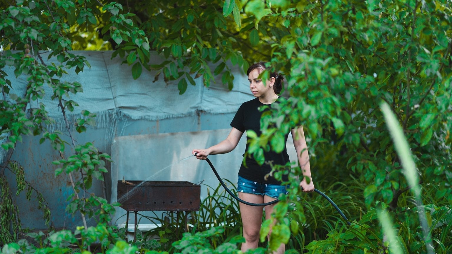 Albuquerque Heat Wave 2020 Garden and Lawn Watering Tips Part Two R