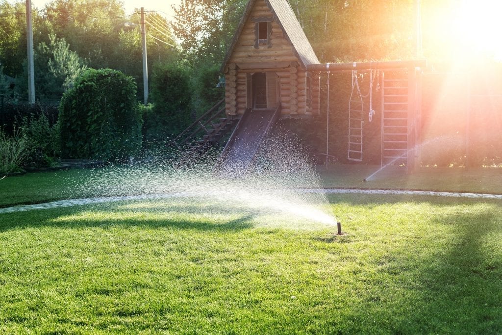 Albuquerque Heat Wave 2020 Garden and Lawn Watering Tips - Part One by R & S Landscaping 505-271-8419 a