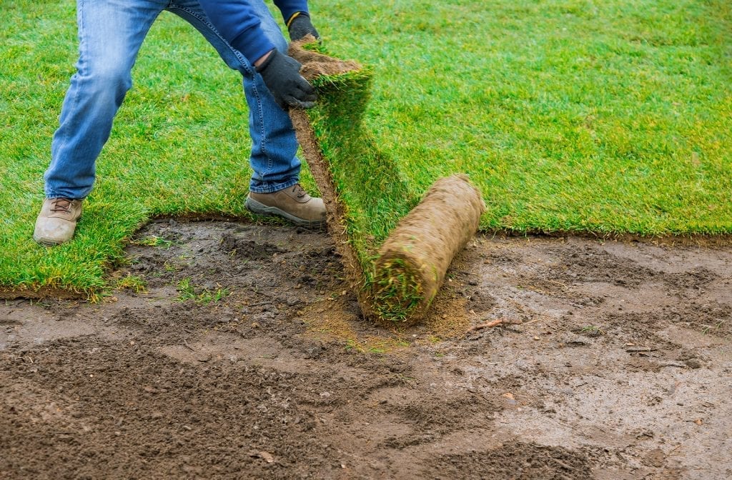 Albuquerque Sod Lawn—How to Install it So it is Successful by R & S Landscaping 505-271-8419