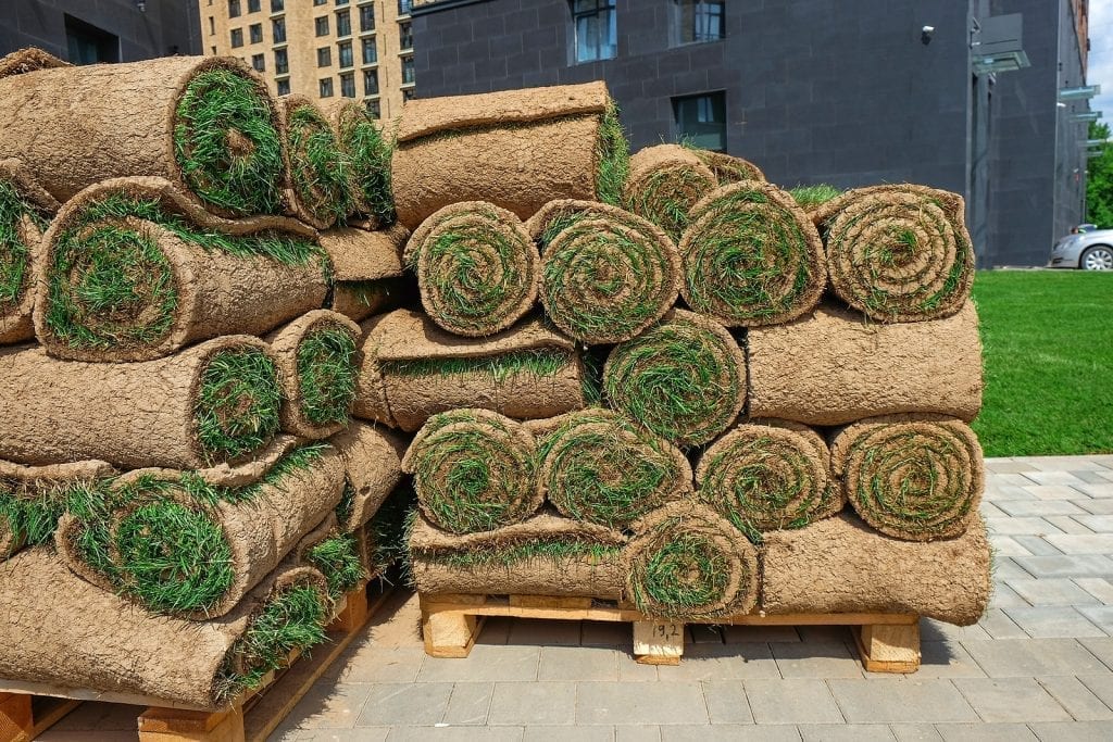 Albuquerque Sod Lawn—How to Install it So it is Successful by R & S Landscaping 505-271-8419