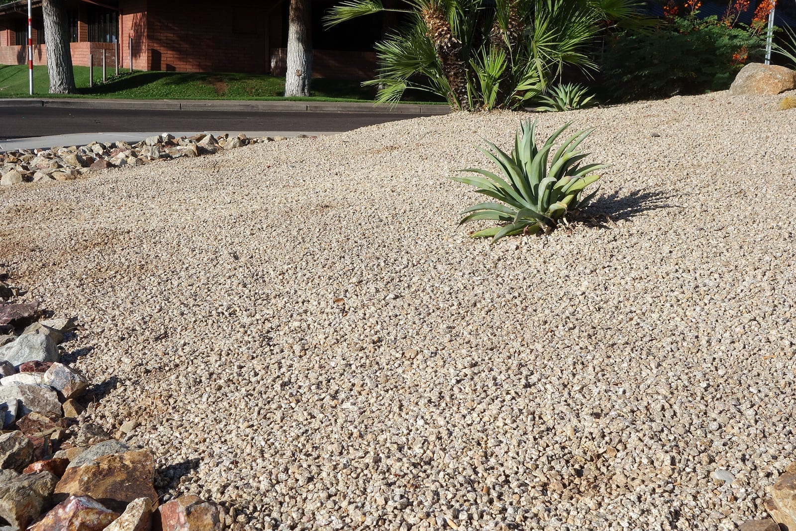 Albuquerque Xeriscaping Basics - The Ultimate Landscaping ...