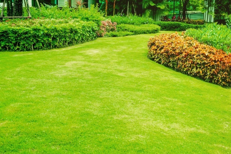 Albuquerque Lawn Fertilizing Tips for Top Results by R & S Landscaping 505-271-8419 a