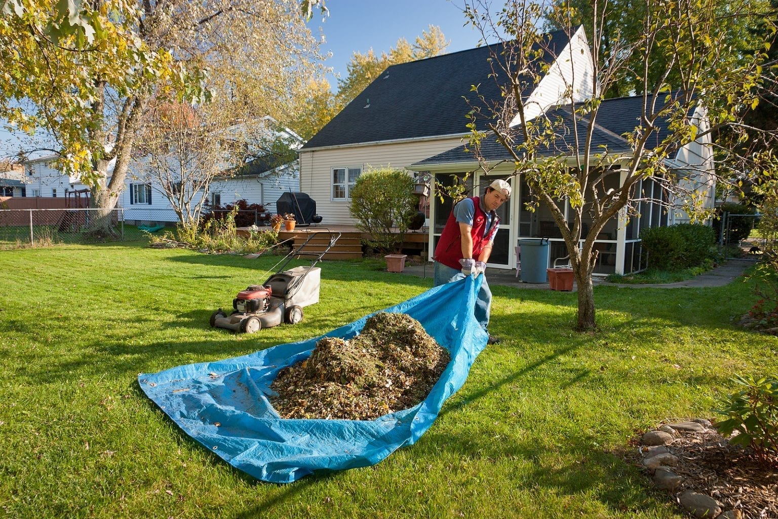 View of Yard Cleanup Albuquerque NM, Yard Cleanup Services Albuquerque NM