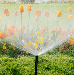Irrigation System Water Sprinkler Working In Garden View from below of smart garden activated with full automatic sprinkler irrigation system working early in the morning in green park - watering lawn and colourful flowers tulips narcissus and other types of spring flowers