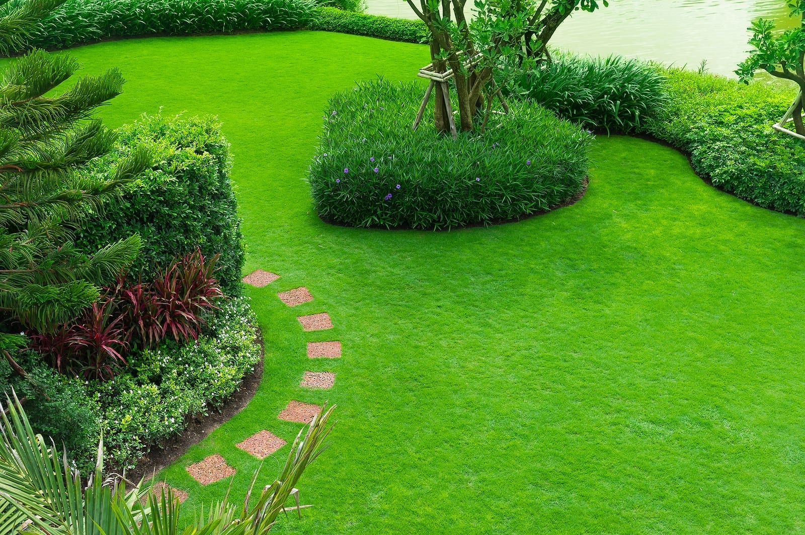 Albuquerque Landscaping with Bushes | R & S Landscaping