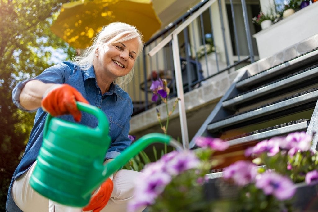 Great Tips & Strategies for Getting Your Albuquerque Garden and Lawn for Spring 2021 – Part One by R & S Landscaping 505-271-8419 b