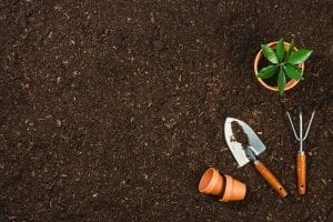 The Dirt on Creating Great Soil for a Super Successful Albuquerque Garden or Lawn – Part Two