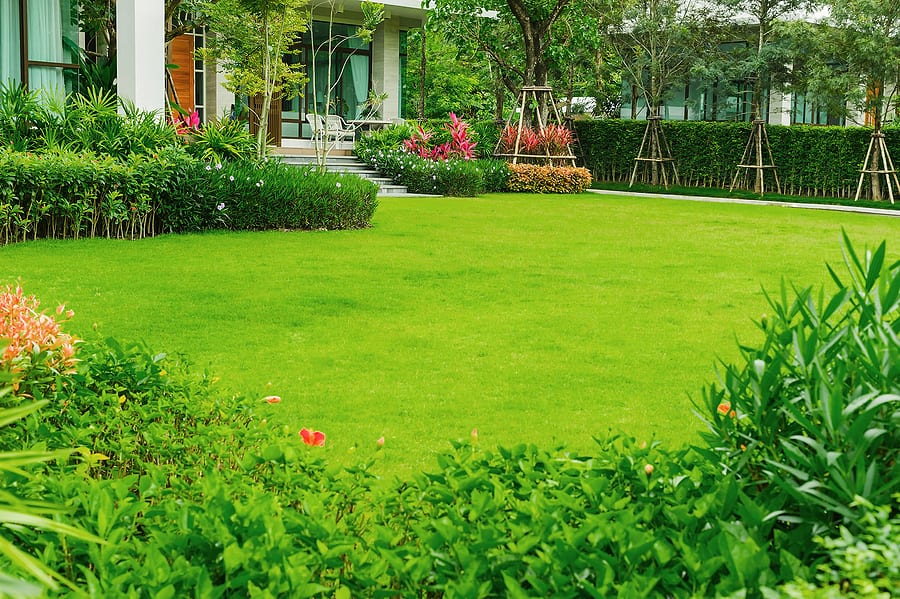 Lawn Care Strategies to Green Up Your Lawn & Make Neighbors Green with Envy by R & S Landscaping 505-271-8419 b