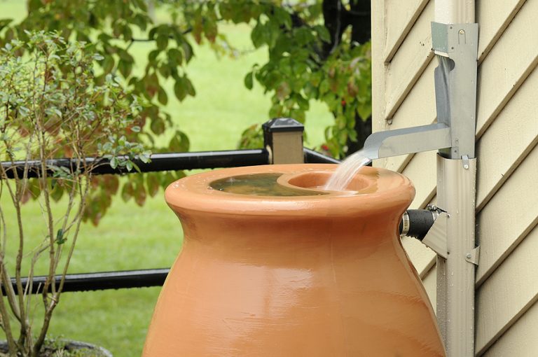 Action Items To Take To Set Up A Rainwater Irrigation System With Rain 