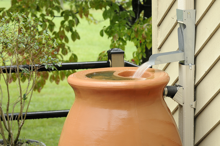 Action Items to Take to Set Up a Rainwater Irrigation System for Your Albuquerque Garden By R & S Landscaping