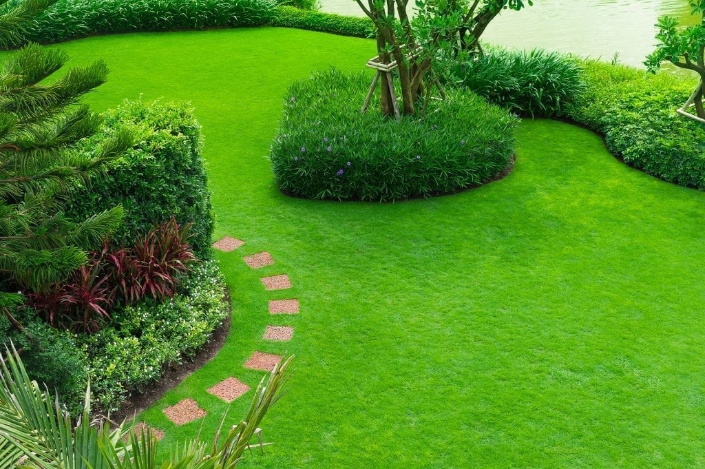 Albuquerque Lawn Maintenance – 10 Steps to a Stunning Green Lawn by R & S Landscaping 505-271-8419