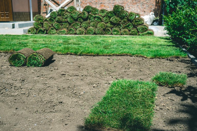 Albuquerque Soil Preparation for a New Sod Lawn R & S Landscaping