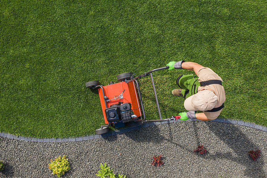 The Basics of Albuquerque Lawn Aeration for 2021 by R & S Landscaping Inc 505-271-8419