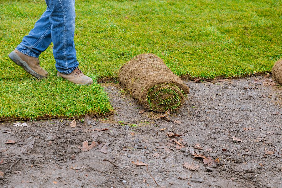 Albuquerque Sod Installation - Here is How to do it Right by R & S Landscaping 505-271-8419