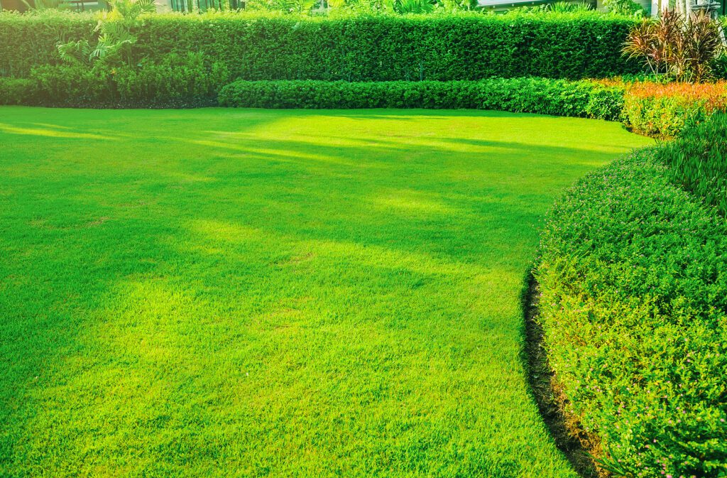 How a Healthy Albuquerque Lawn Helps Everyone in New Mexico by R & S Landscaping 505-271-8419