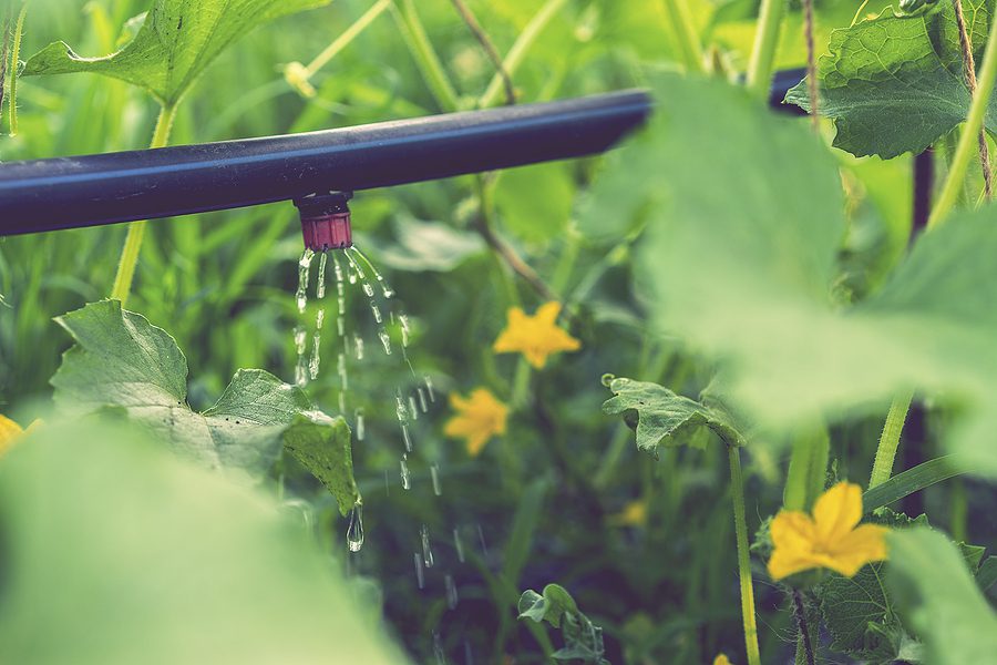 How to Winterize Your Albuquerque Drip Irrigation System by R & S Landscaping 505-271-8419