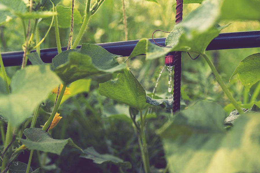 The Environmental Pluses to New Mexico of an Albuquerque Drip Irrigation System by R & S Landscaping 505-271-8419