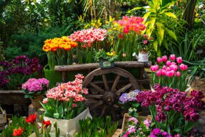 Strategies For Growing A Stunning Albuquerque Organic Flower Garden by R & Landscaping 505-271-8419