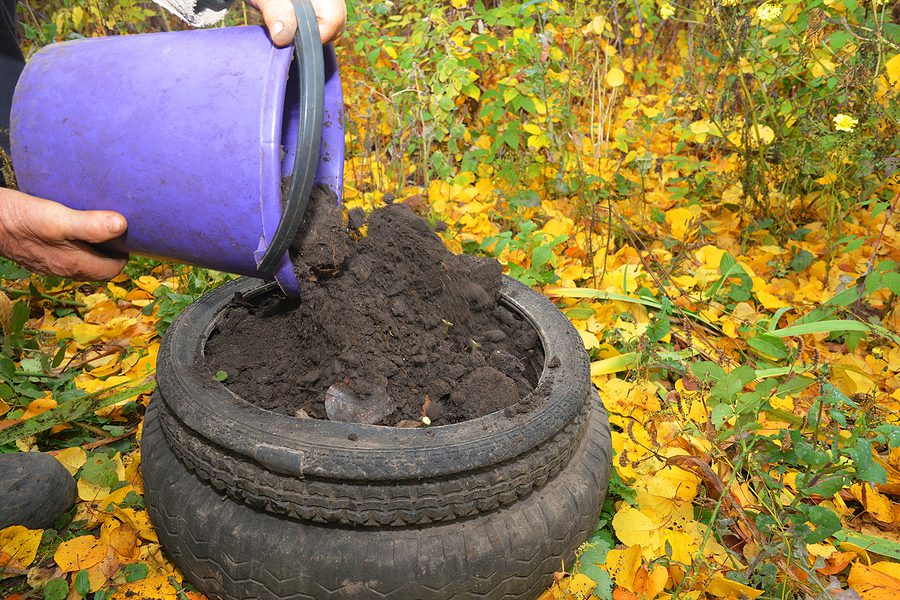 Winterizing Your Albuquerque Garden - Here's How by R & S Landscaping 505-271-8419