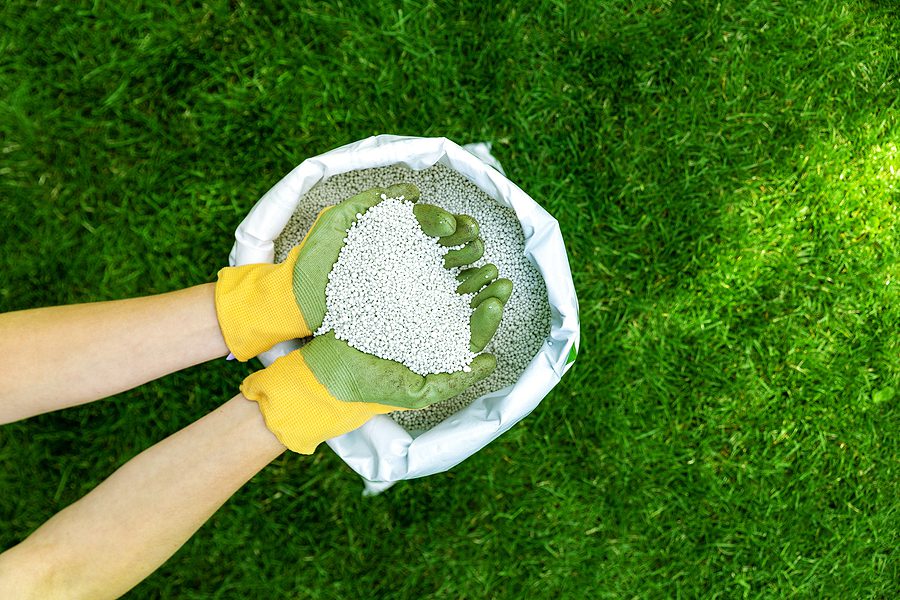 Easy Steps to Follow to Achieve Successful Albuquerque Lawn Fertilization by R & S Landcaping 505-271-8419