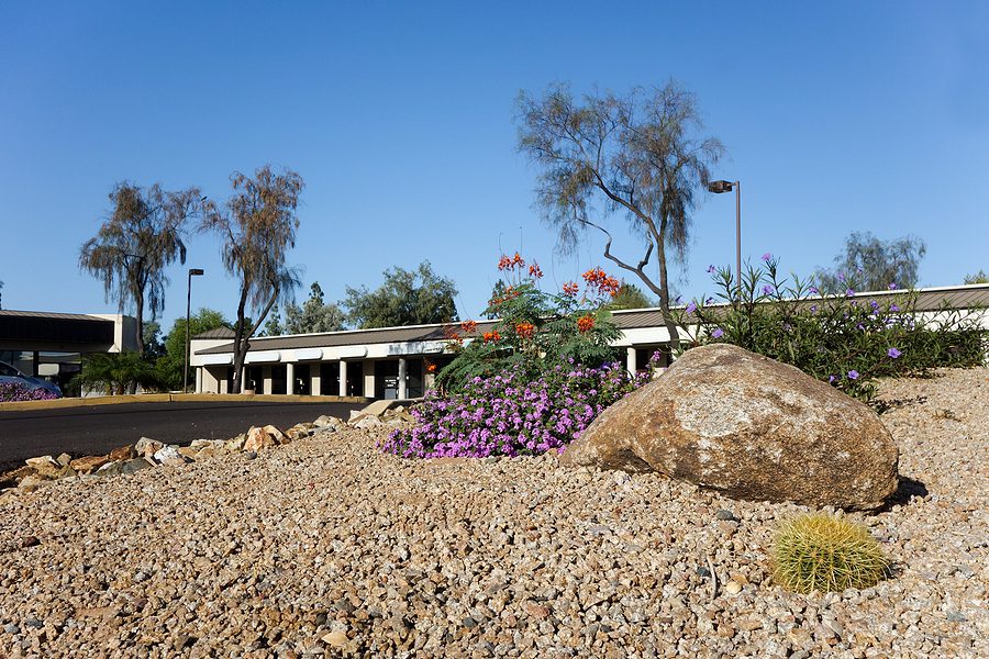Your Albuquerque Xeriscaping Plan for Spring 2022 and Beyond by R & S Landscaping 505-271-8419