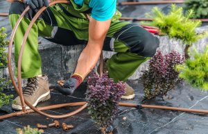 Albuquerque Landscaping with Drip Irrigation Saves Money - Here's How by R & S Landscaping 505-271-8419