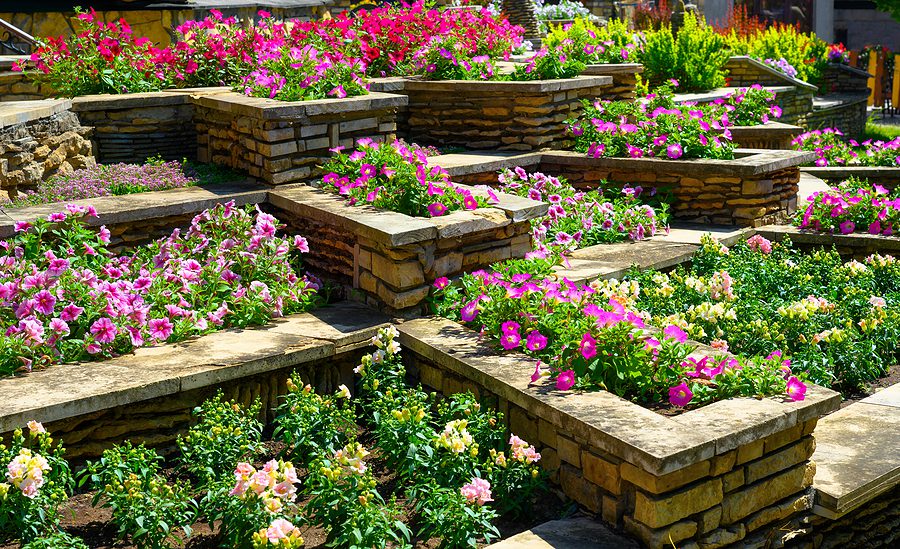 Create Stunning Albuquerque Landscaping with Flowers - Here's How by R & S Landscaping 505-271-8419