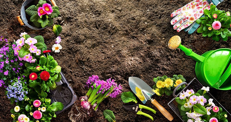 Improve Your Albuquerque Garden Soil - Here's How by R & S Landscaping Albuquerque NM
