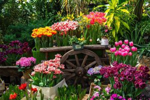 How to Prepare for Your Spring Garden in the Dead of Winter by R & S ...