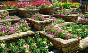 Investing in an Albuquerque Landscaping Company Custom Landscaping Package Can Improve Your Home's Value - Here's How