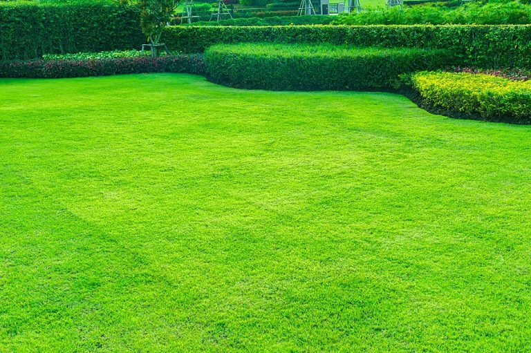 Five Essential Tips for Summer Lawn Maintenance | R & S Landscaping