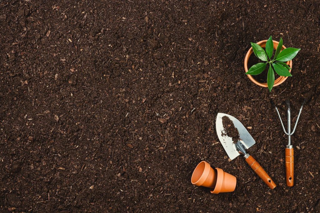 Reasons for Soil Tilling and Smart Soil Improvement Strategies for Your Garden