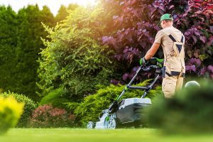 Strategies to Use to Spring Your Lawn Forward in Spring 2024