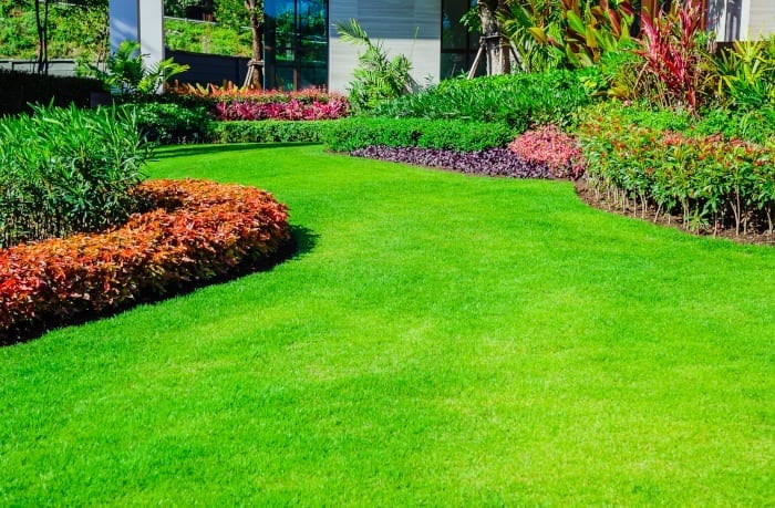 Fantastic Lawn Care Tips to Enhance Albuquerque Home Curb