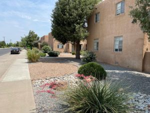 Albuquerque Xeriscape Landscaping Pluses Spelled Out