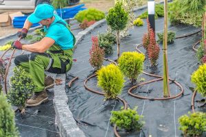 Here’s How to Complete Your 2024 Albuquerque Landscaping Irrigation Winterization