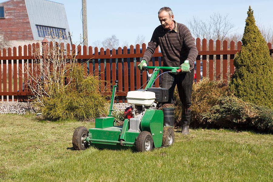 Why Albuquerque Lawn Aeration is a Smart Lawn Health Strategy