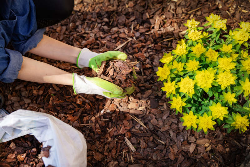 DIY Leaf Mulch— Turning Fall Leaves into Valuable Mulch