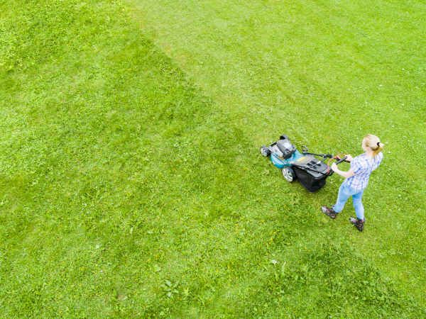When Should I Start Mowing My Lawn in the Spring?