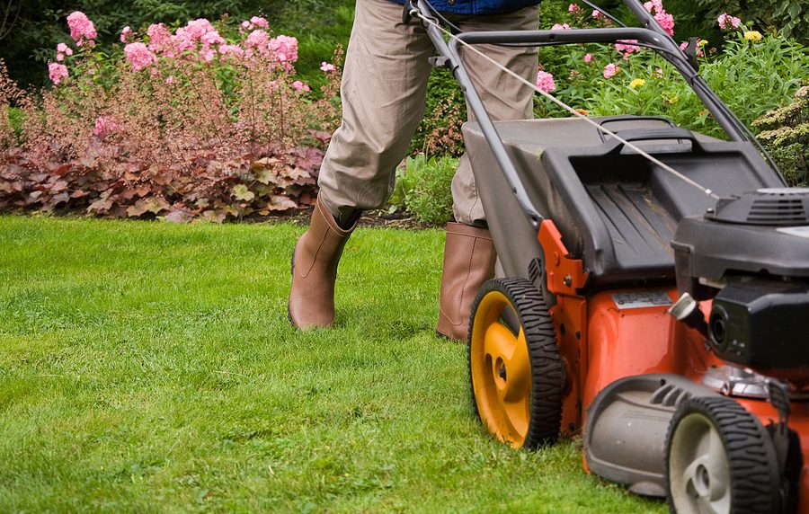 What are Some Great Lawn Care Tips that Can Help Me Improve My Lawn?